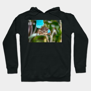 African Butterfly Hoodie